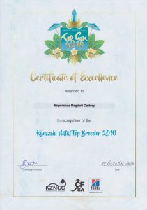 esperanza-cert-kzncc